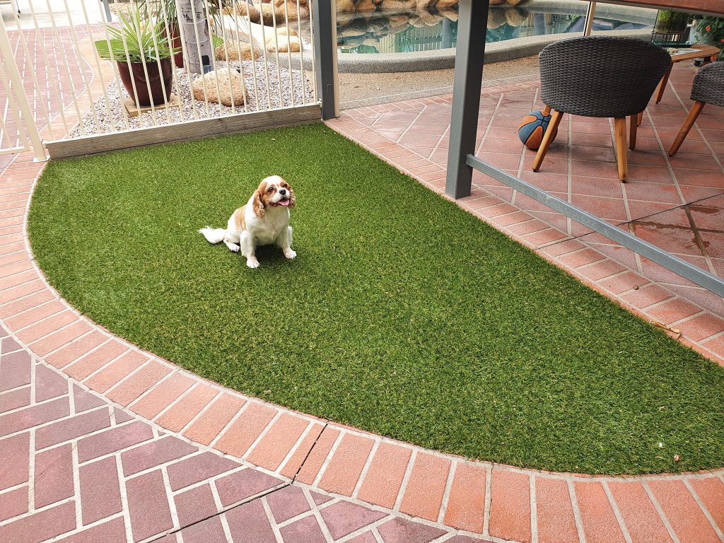 Fake or artificial Grass