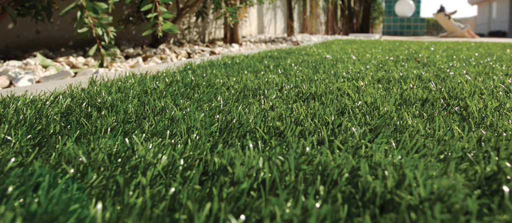 Artificial Grass close up