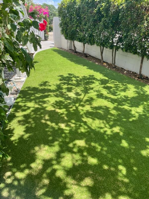 Artificial Grass vs Real Grass